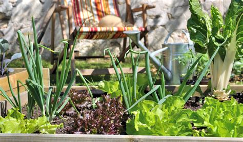 Mod Les De Jardins Potagers Pour Organiser Ses Cultures Jardiland