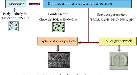 Pdf Synthesis Of Silica Nanoparticles By Sol Gel Size Dependent