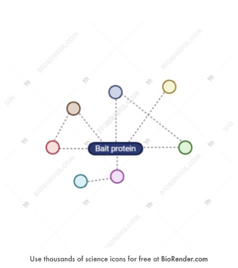 Free Protein interaction network Icons, Symbols & Images | BioRender