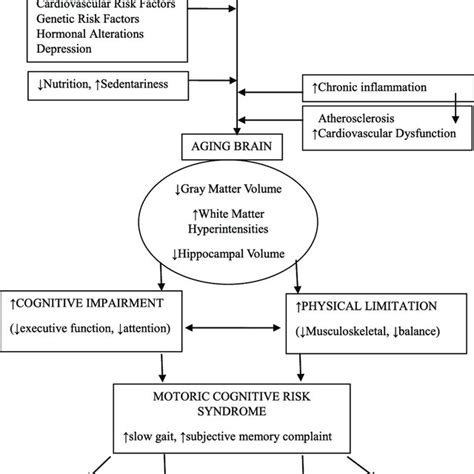 Diagrammatic Presentation Of Motoric Cognitive Risk Syndrome