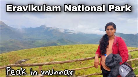 Eravikulam National Park Munnar Kerala Tourist Places Trekking In Misty Hills Van Saffari