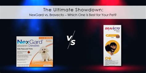 The Ultimate Showdown Nexgard Vs Bravecto Which One Is Best For