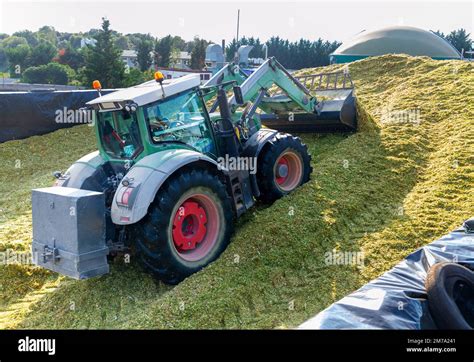 Harvesting Of Silage Stock Photo Alamy