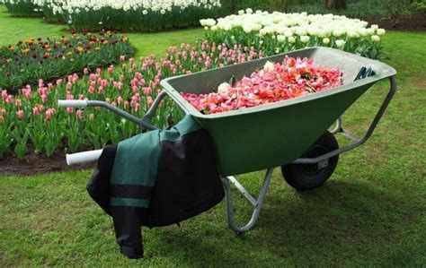 Most Common Gardening Tools And Their Uses Artofit