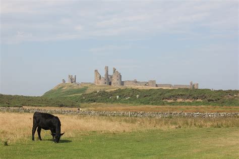 10+ Free Dunstanburgh Hrad & Northumberland Images - Pixabay