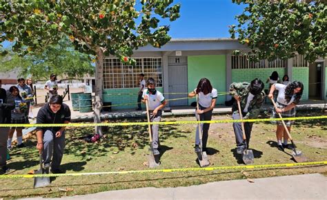 Fomenta Conalep Bc En Sus Estudiantes El Cuidado Del Medio Ambiente