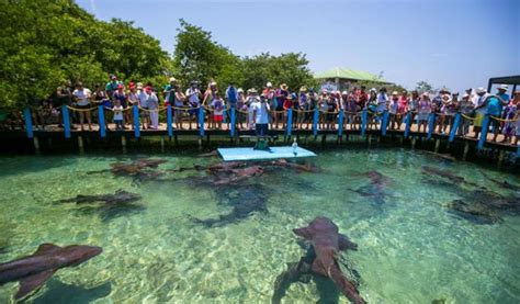 Tour Islas Del Rosario Cartagena