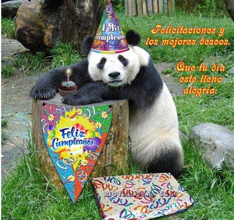 Tarjetas De Cumpleaños De Osos Pandas free of charge