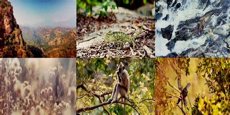 Chinnar Wildlife Sanctuary Trekking Fare and Booking