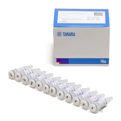 Primescript Rt Pcr Kit Rxns