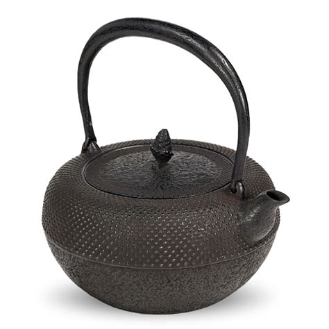 Iwachu Japanese Nanbu Tekki Cast Ironware