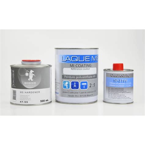 Kit De Peinture Blanc Auto Brillant Direct