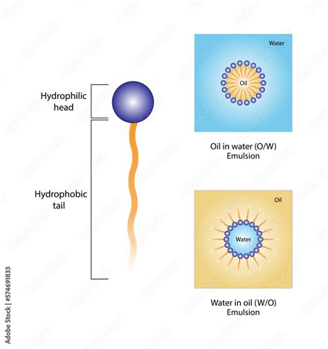 Emulsifier Types Structure Emulsion Oil In Water Water In Oil