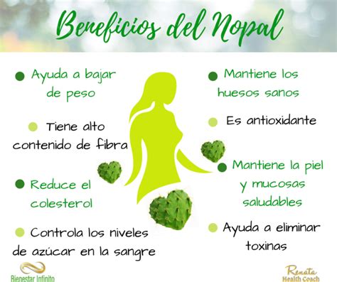 Beneficios Del Nopal Bienestar Infinito