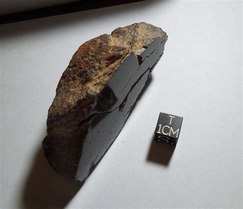 Stony Meteorite Meteorite Space Rock Stony