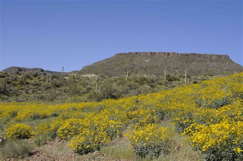 Free picture: scenic, desert, spring