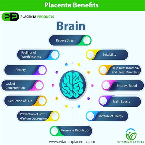 Placenta Pills - Benefits of Eating Placenta – Vitamin Placenta