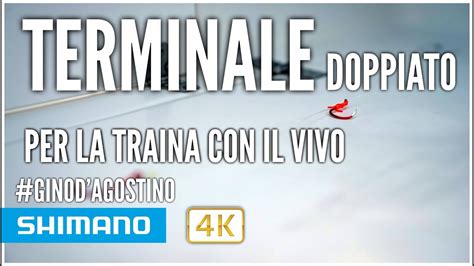 Come Realizzare Un Terminale Da Traina Col Vivo Tutorial Gino D