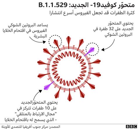 فيروس كورونا ما هي سلالات الفيروس وما مقدار الحماية التي توفرها