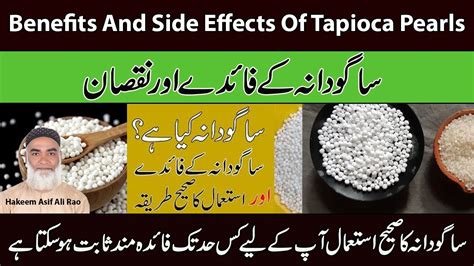 Benefits And Side Effects Of Tapioca Pearls Sago Dana Ke Fayde Aur Nuqsaan Youtube