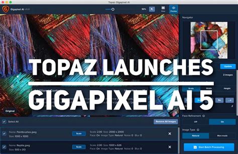 Topaz labs gigapixel ai review - vseeng