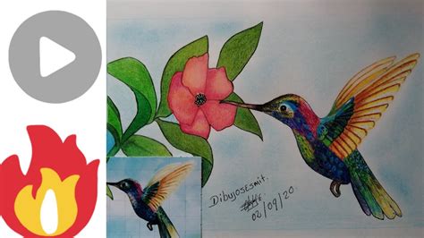 COMO DIBUJAR UN COLIBRÍ Picaflor aprende a dibujar a lápices de colores