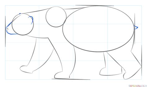 How To Draw A Polar Bear Step By Step Drawing Tutorials