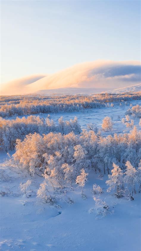 Snow Capped Serenity In Winter Wonderland Backiee