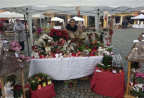 Festa Di Natale Dicembre Poviglio Fiori Comune Di Poviglio