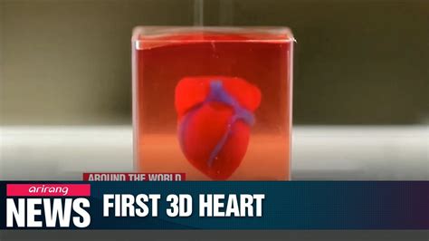 Israeli Researchers Print World S First D Heart With Blood Vessels