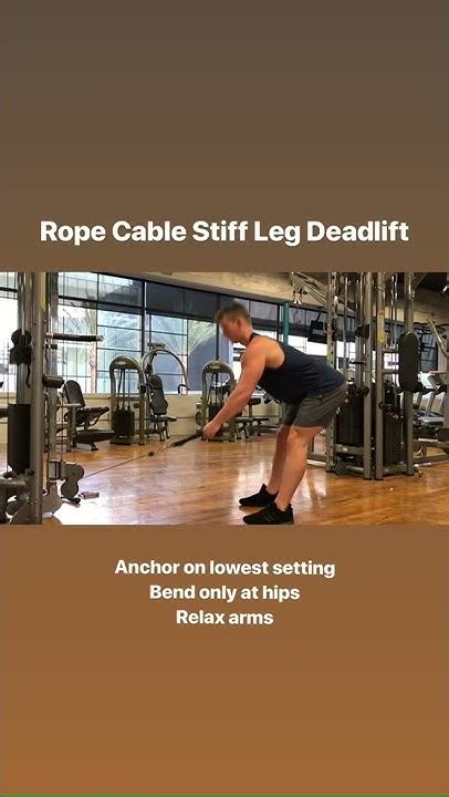 Rope Cable Stiff Leg Deadlift Youtube