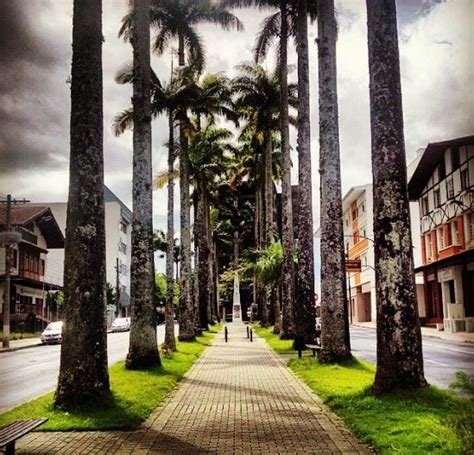 Rua Das Palmeiras Em Blumenau Um Lindo Palco A Ser Mais Explorado