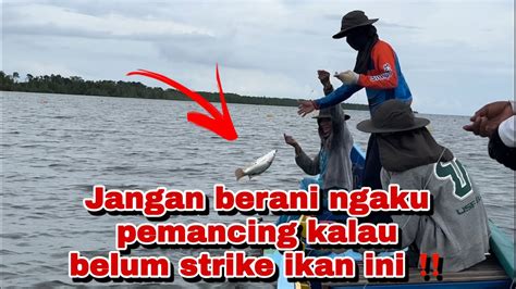 Pesta Strike Part 2 Tadinya Mau Pindah Spot Malah Strike Babon Tompel