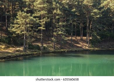 532 Clay Pit Pond Images, Stock Photos & Vectors | Shutterstock