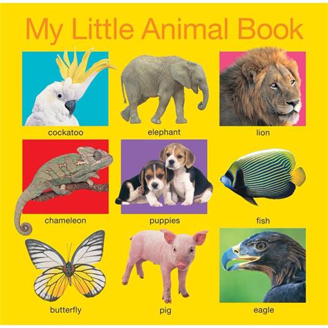 My Little Animal Book