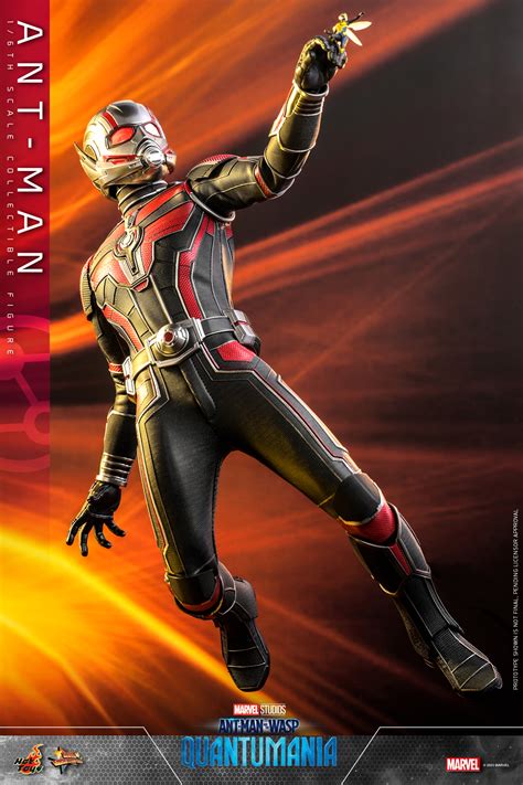 Ant Man And The Wasp Quantumania Hot Toys Ant Man And Wasp Figures The Toyark News