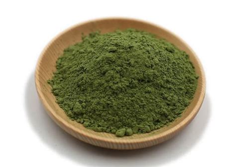 Chlorella Powder Bulk ผงคลอเรลลา UNDERSUN