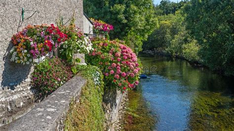 River Cong in Ireland stock photo. Image of landscape - 255186132