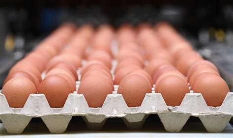 Warning Of Egg Shortage As Farmers In Price Row With Supermarkets Uk