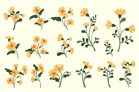 Daisy Flower Vector Set Graphic by Alit Design · Creative Fabrica