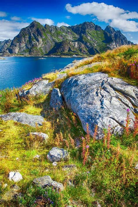 Henningsvaer En Lofoten En Noruega Foto De Archivo Imagen De Noruega