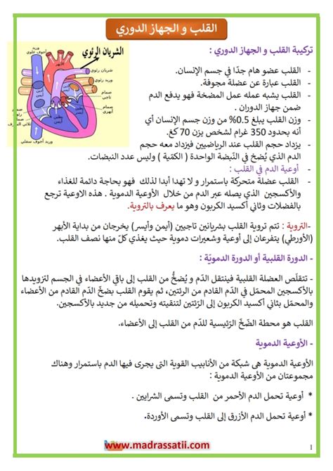 القلب و الجهاز الدوري الدورة الدموية المحافظة على القلب موقع مدرستي