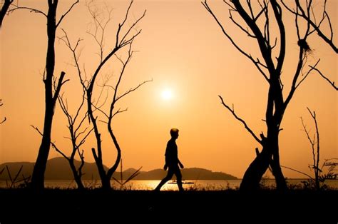 Silueta Del Hombre Caminando Solo Al Atardecer Foto Premium