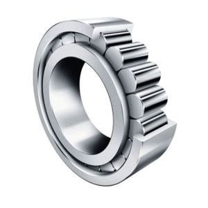 Zylinderrollenlager Sl Series Schaeffler Technologies Ag Co Kg