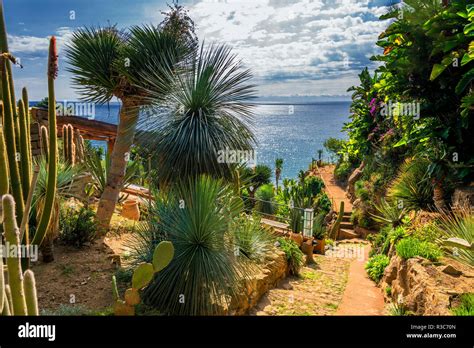 ligurian sea Stock Photo - Alamy