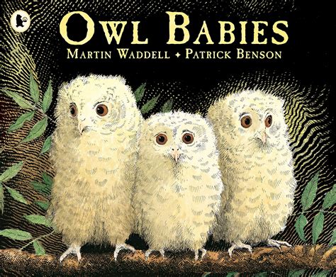 Owl Babies: A beloved classic from the recipient of An Post Irish Book ...