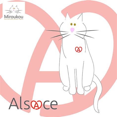 Miroukou Partenaire De La Marque Alsace