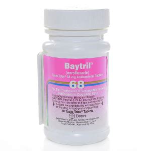 Baytril Tablets | Balboa Pet Pharmacy