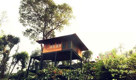 Best Tree House Resort in Wayanad, Keala | View Photos, Address