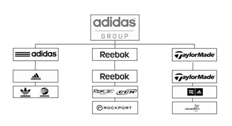 Adidas Logo And Brand Transformations Story